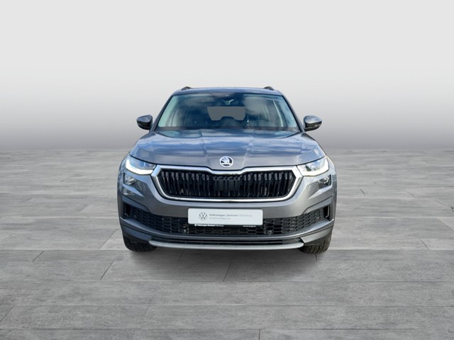 Skoda - Kodiaq 2.0 TDI DSG 4x4 Tour AHK+Matrix_12