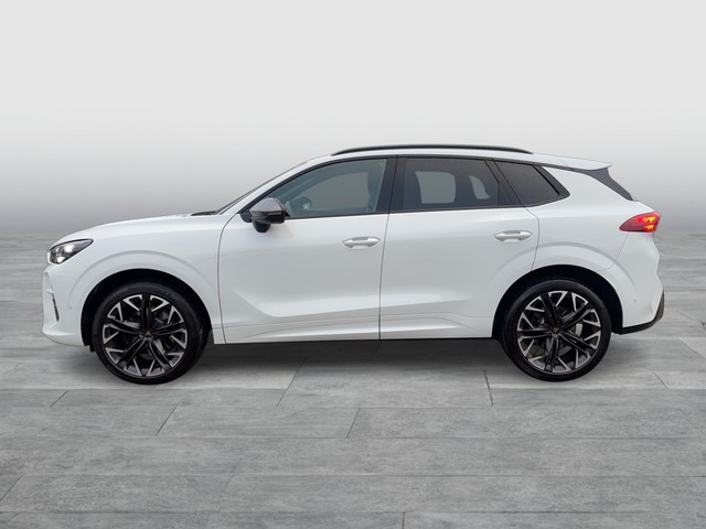 CUPRA - Terramar 2.0 TSI DSG 4Drive VZ AHK+DCC+Matrix_5