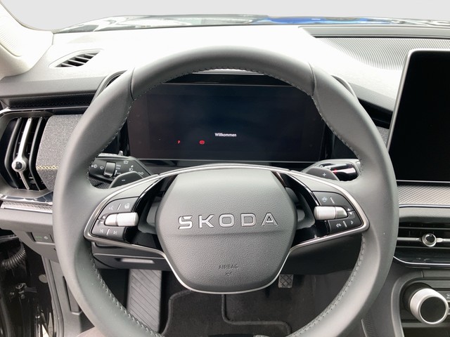 Skoda - Kodiaq 2.0 TDI 4x4 DSG Selection AHK LED NAVI_13