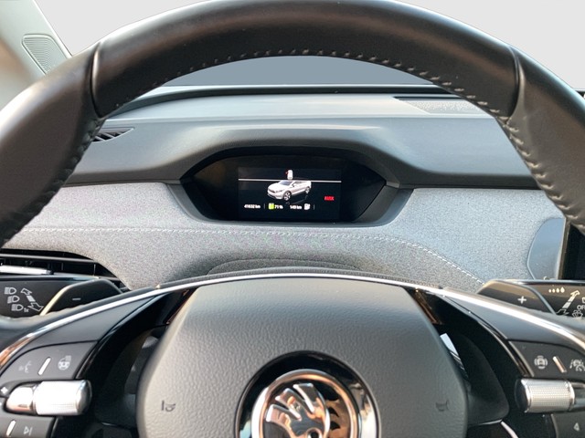 Skoda - Enyaq iV 60 Loft AHK CAM LED LM19 NAVI PANO SHZG_13