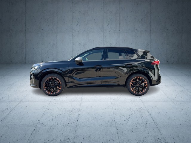 CUPRA - Terramar VZ 2.0 TSI DSG VZ 4Drive LED+NAVI+PANO_11