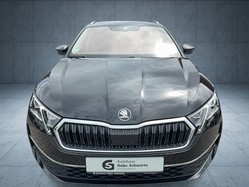 CUPRA - Formentor 2.0 TDI AHK+Matrix+Leder_13