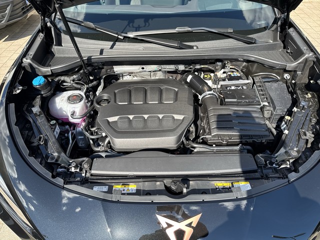 CUPRA - Terramar VZ 2.0 TSI DSG VZ 4Drive LED+NAVI+PANO_9