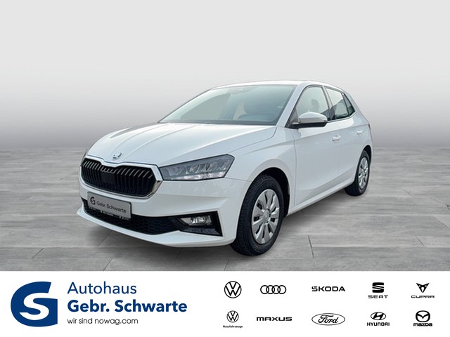 Skoda - Fabia 1.0 Selection KLIMAAUTOMATIK+TEMPOMAT+SHZG_1