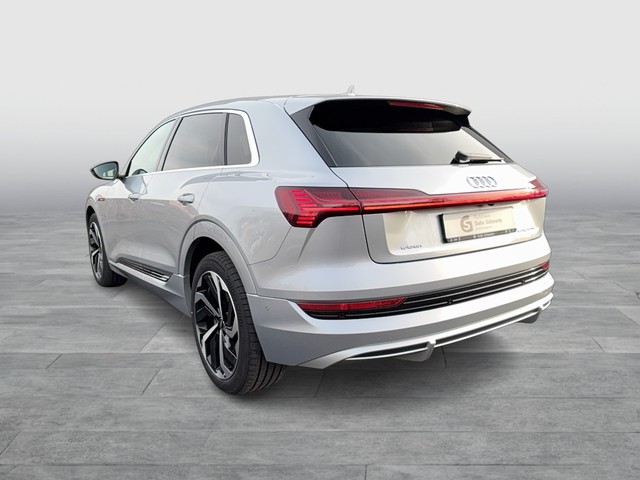 Audi - e-tron 50 quattro S line AHK+NAVI+LEDER+MEMORY_7