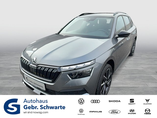 VW - Tiguan 1.5 TSI Active ACC+LED+NAVI+RFK+SHZ+LANE_1